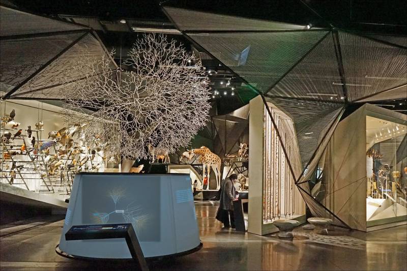 Musée des Confluences, Lyon (69)