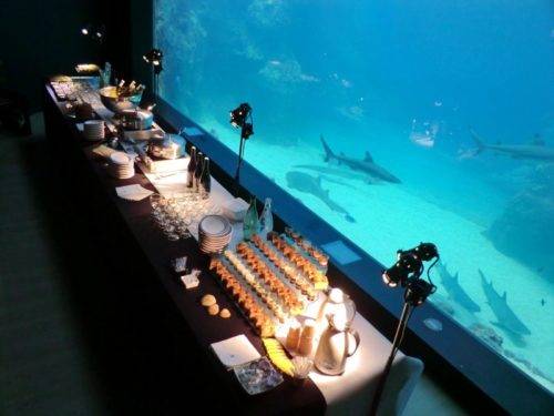 Aquarium de Lyon, Lyon (69)