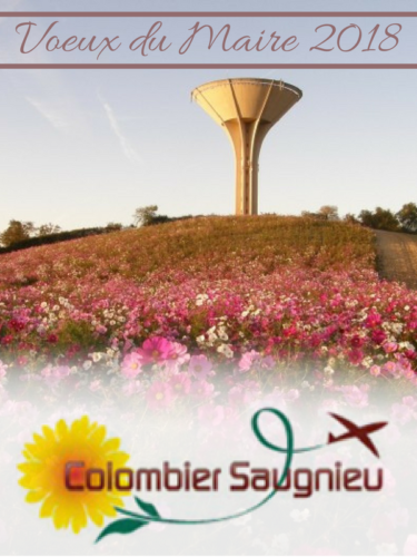 De l'affiche à la scène : Dromi’s concrétise la vision de la Mairie de Colombier-Saugnieu en assurant l'intégralité de l'exploitation audiovisuelle de sa cérémonie annuelle. Un accompagnement technique sur mesure pour transformer ce rendez-vous de communi