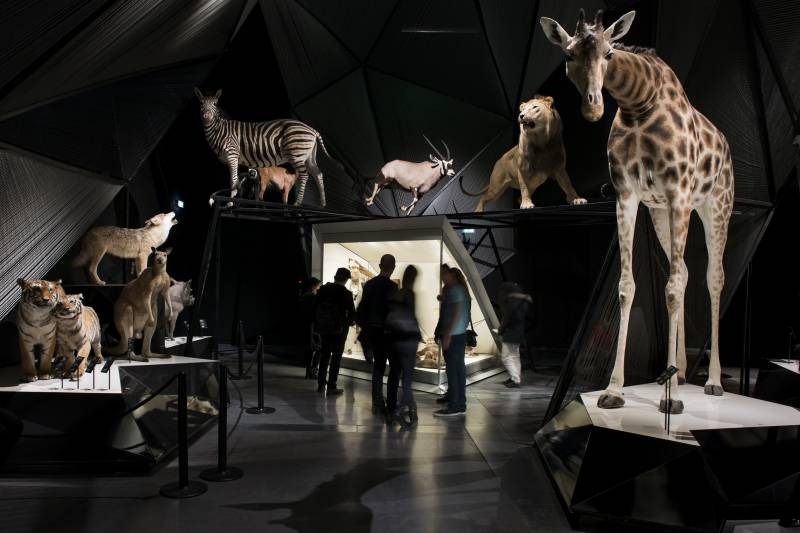 Musée des Confluences, Lyon (69)
