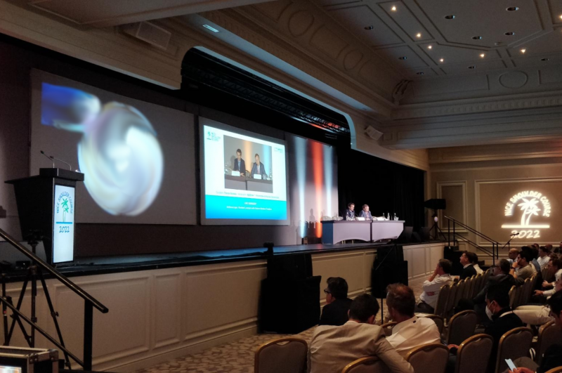 Pupitre en bois - double écran, Lyon (69).